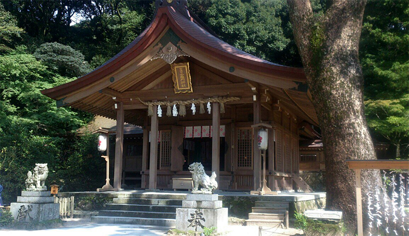 A wooden shinto shrine in a grove of trees guarded by two stone dog statues.