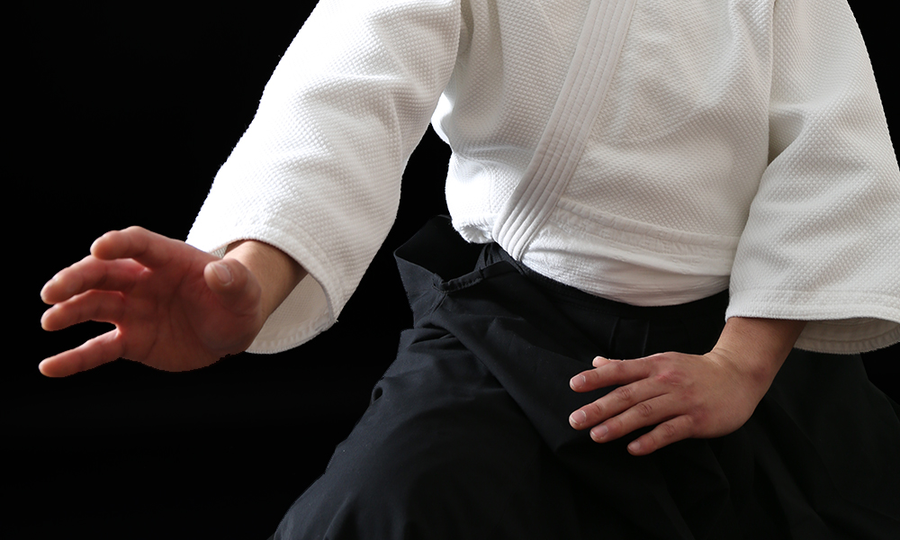 Aikido Stance