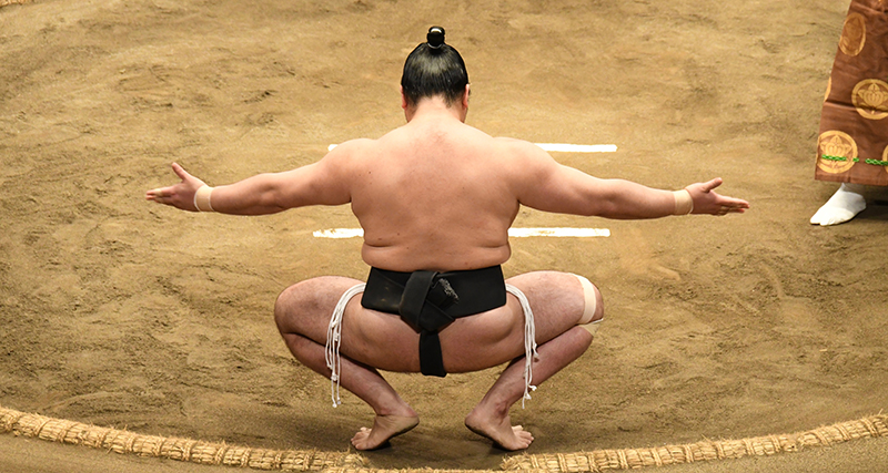 Sumo Rikishi Sonkyo position"